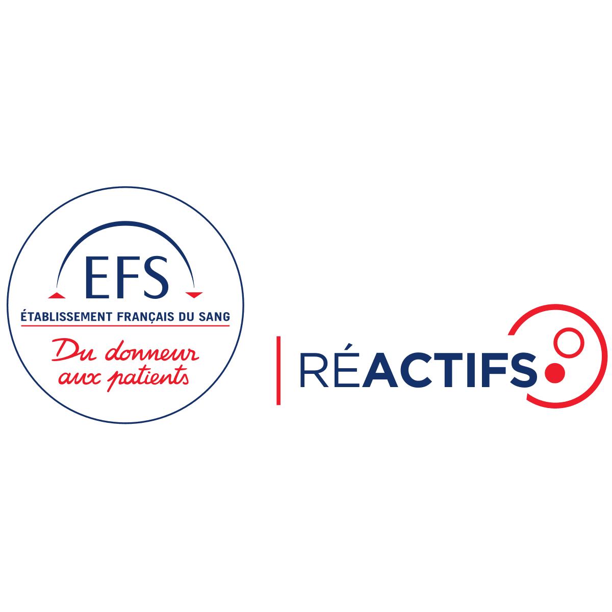 logo_efs